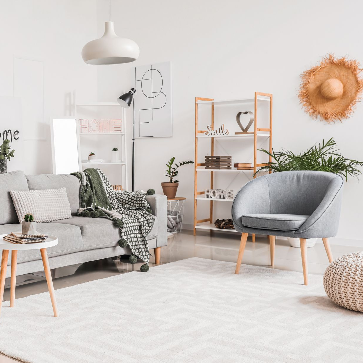 Living room with gray sofa, chair, wooden shelves, rug, and decorative items.