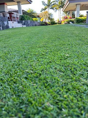 Lush green lawn with a low perspective, flanked by buildings and palm trees in the background. A low-angle view of a bright green lawn leading toward outdoor patios with stone pillars and palm trees.