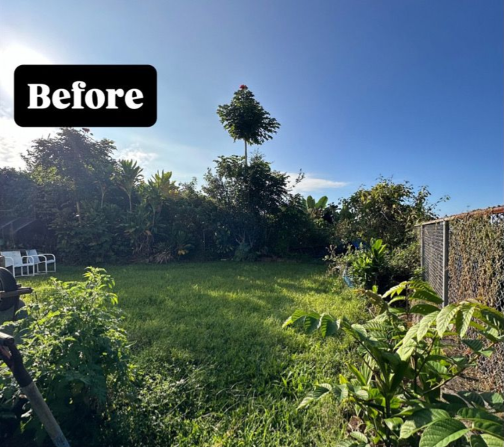 A backyard with a green lawn, lush trees, and a wire fence under a bright blue sky, labeled 
