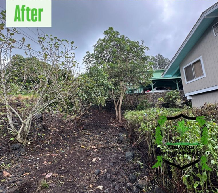 A cleared, sloped yard beside a house with a label reading