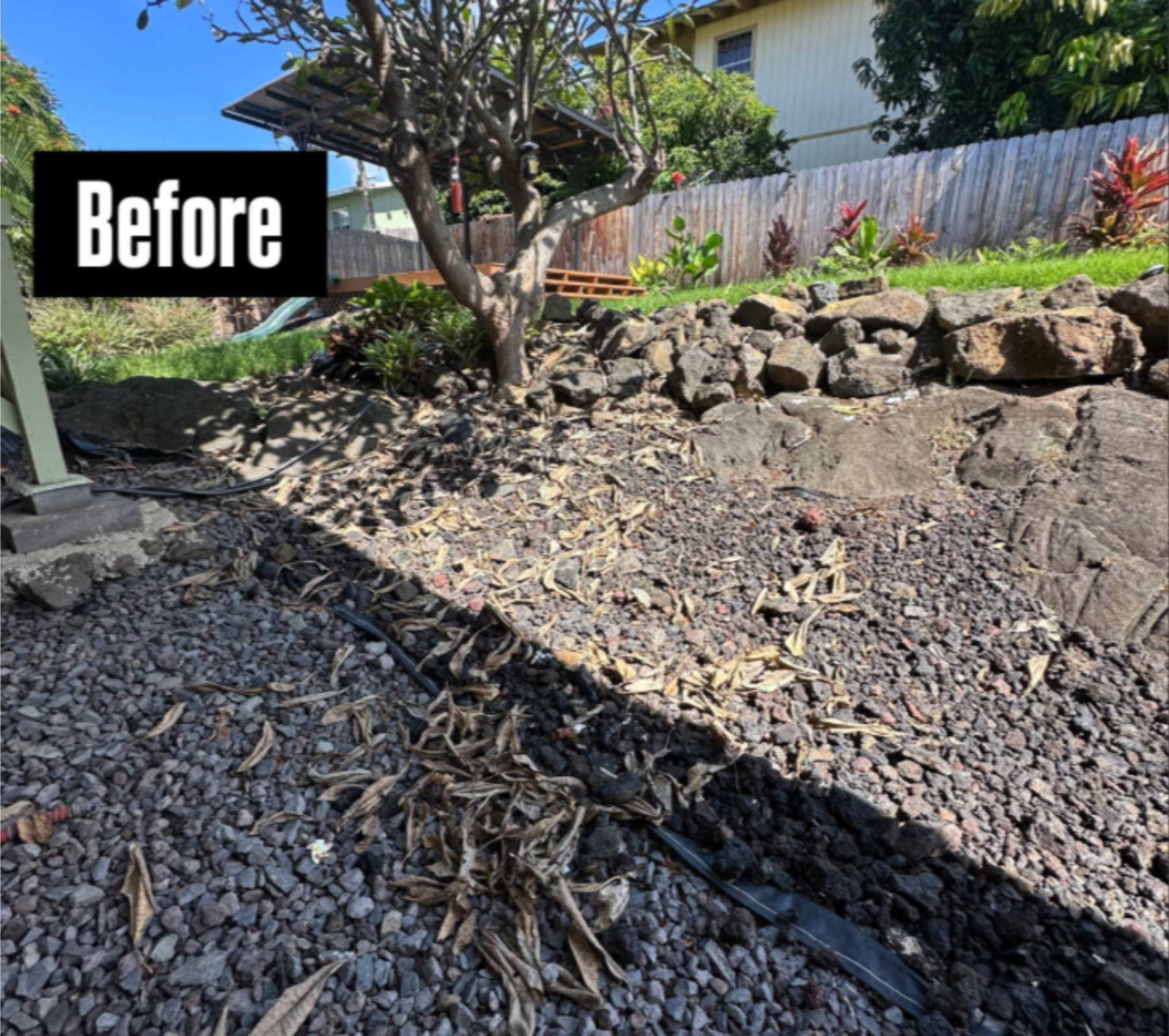 A backyard area features a tree, volcanic rock landscaping, and a wooden fence, with 