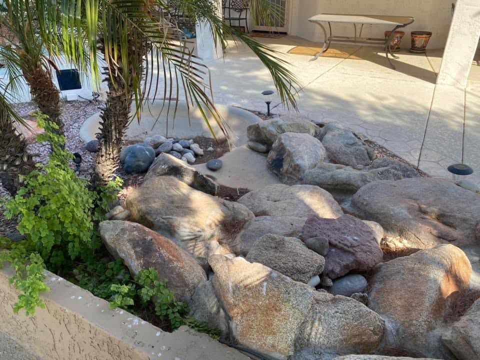 Rock garden with boulders, palm fronds, and small shrubs in a sunlit courtyard