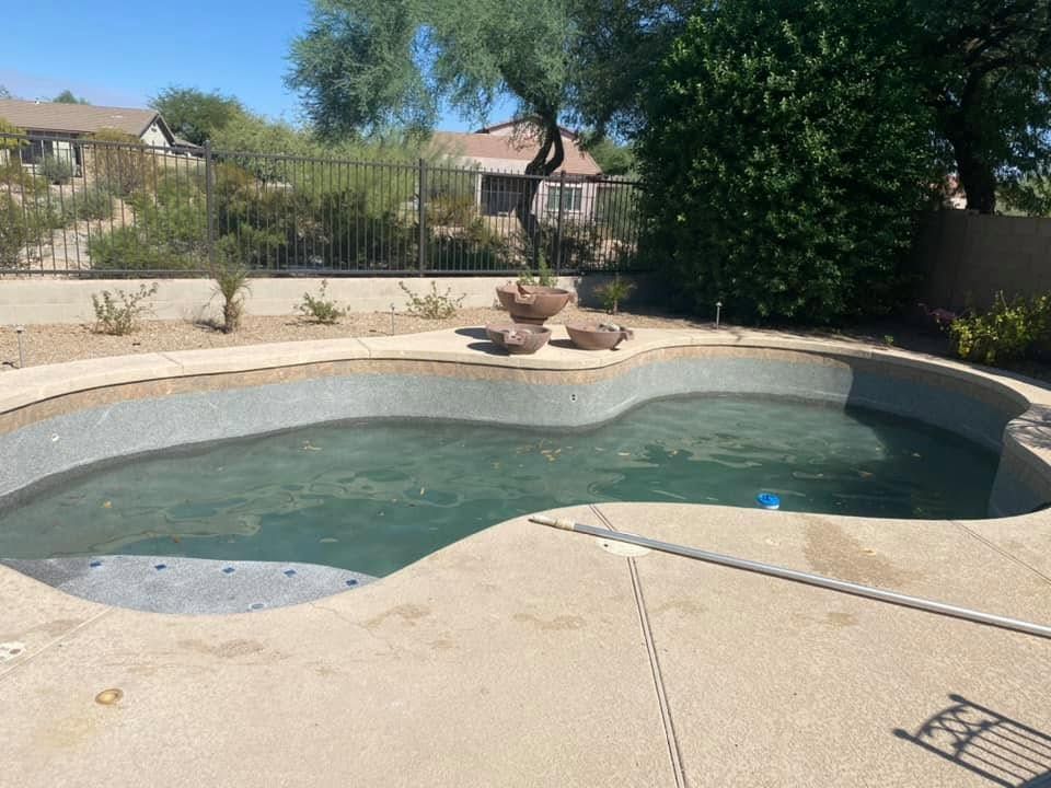 Empty backyard swimming pool with greenish water, surrounded by a concrete deck and desert landscaping.