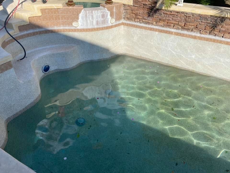 Empty backyard swimming pool with shallow green water and brick coping