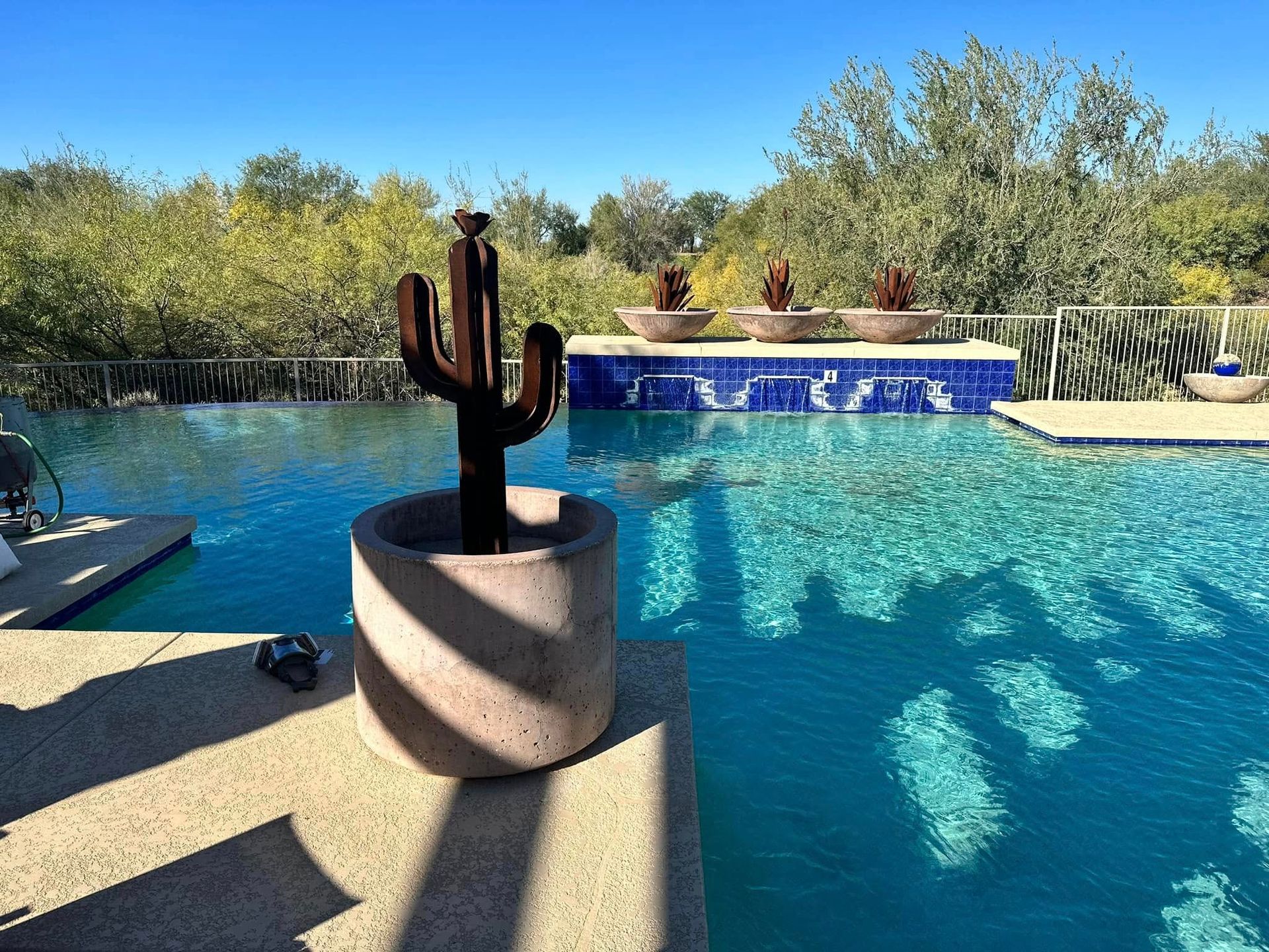 Backyard pool with cactus sculpture in foreground, blue water, and desert greenery beyond the deck