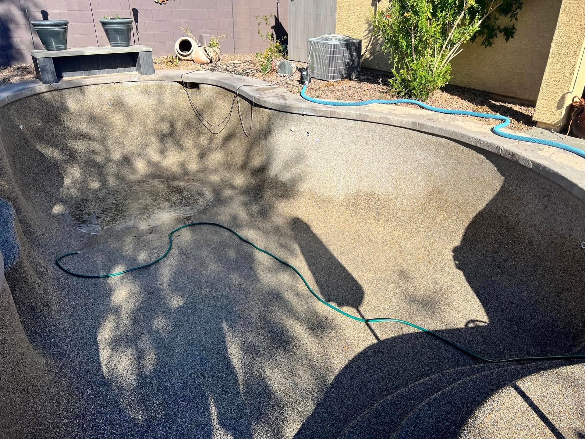 Empty swimming pool with a rough interior, blue hose along the rim, and tree shadows across the surface