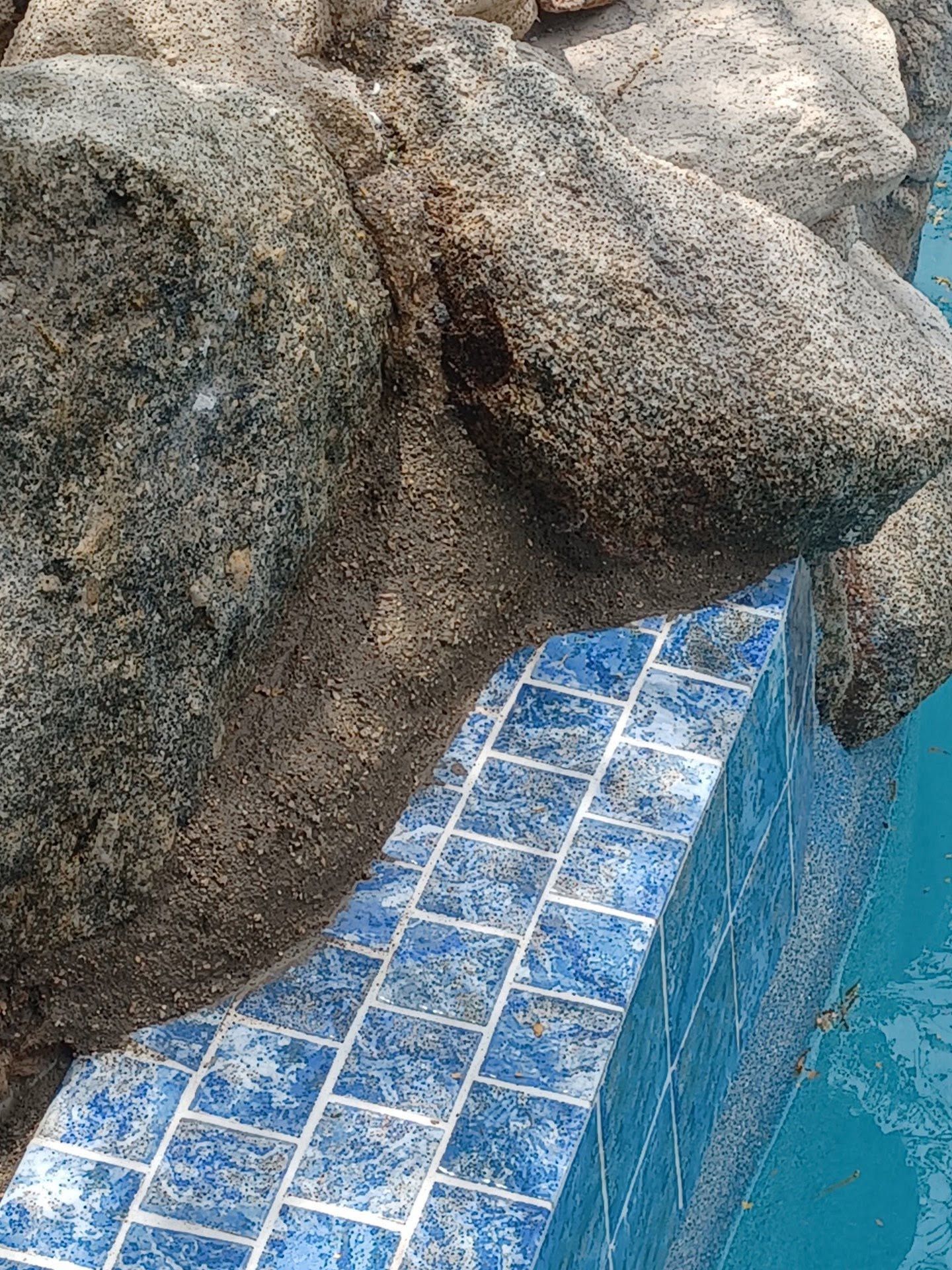 Rock formation beside a blue-tiled pool edge with turquoise water