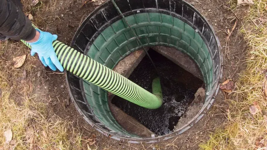 Septic System 101 | Importance of Healthy Bacteria | Clean Earth Septic Service