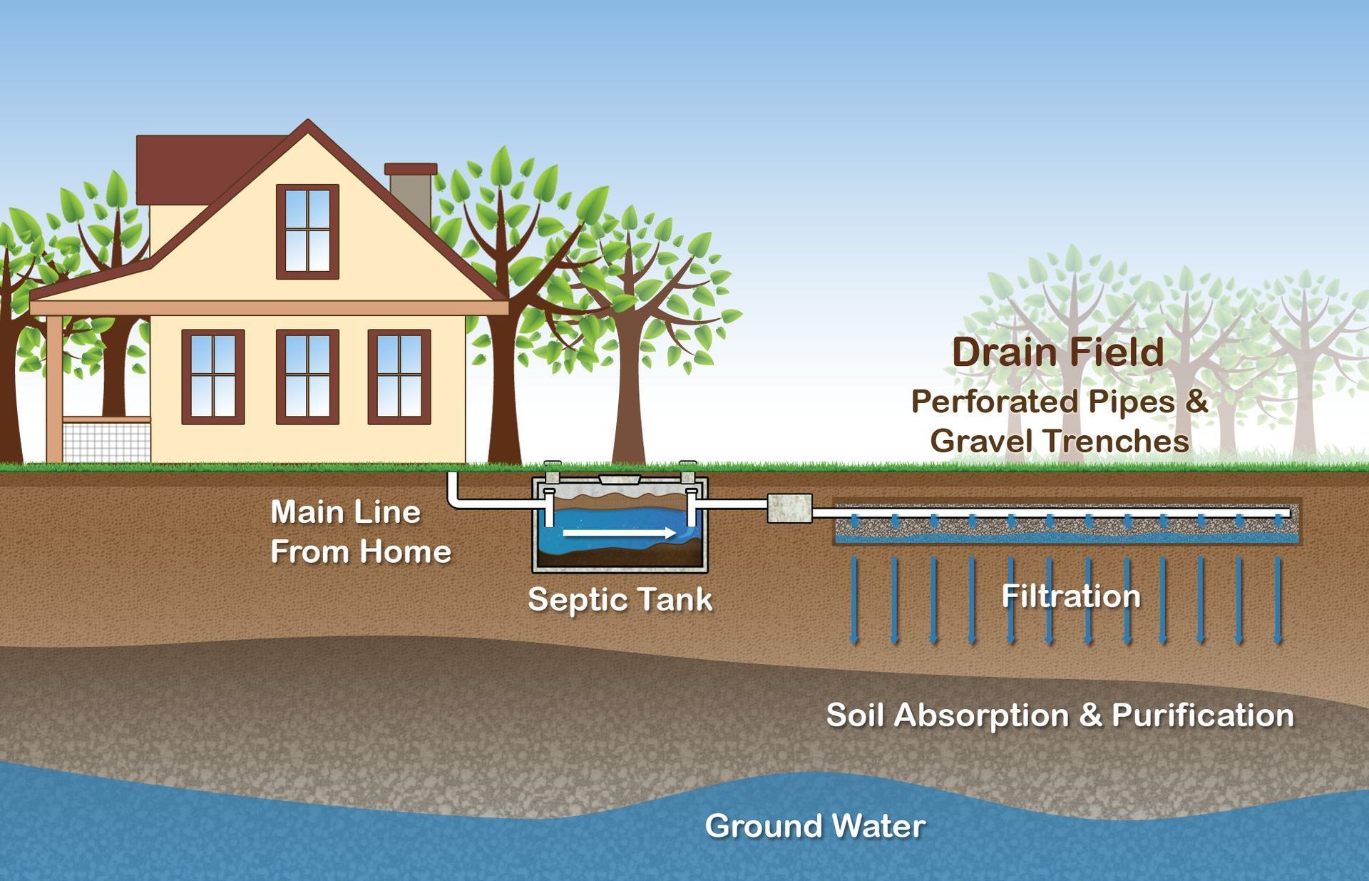 Septic System Cross Section | How a Septic System Works