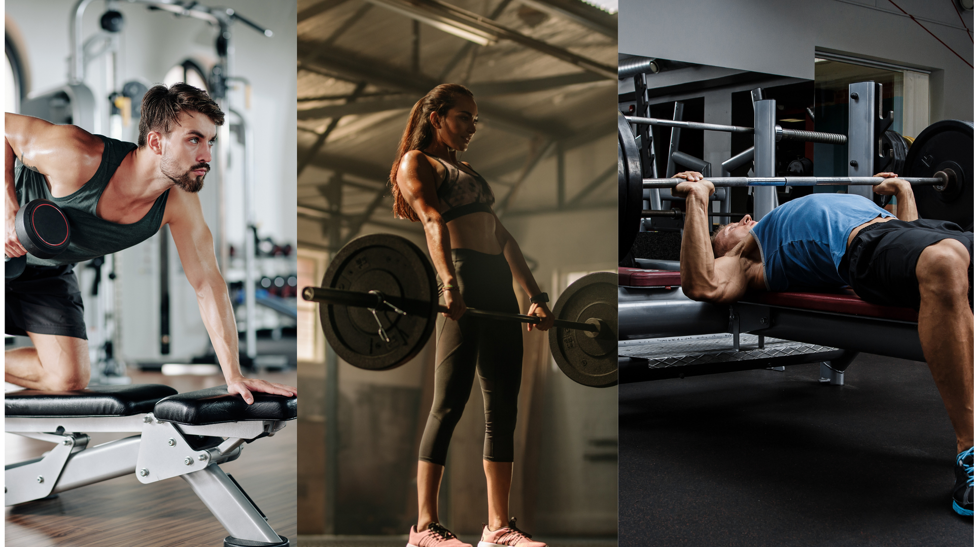Three panels showing individuals exercising: a dumbbell row, a barbell deadlift, and a barbell bench press in a gym.