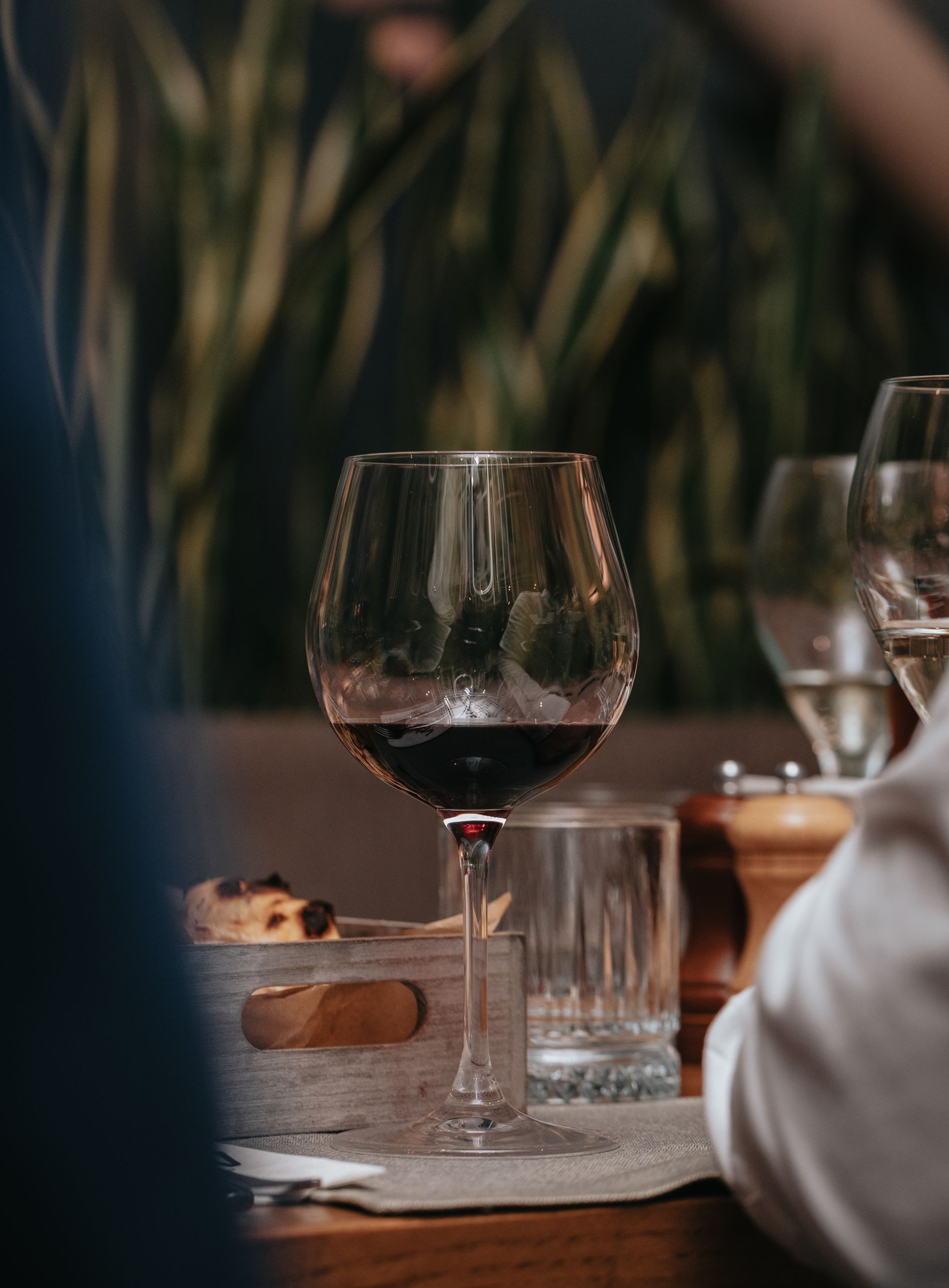 vino