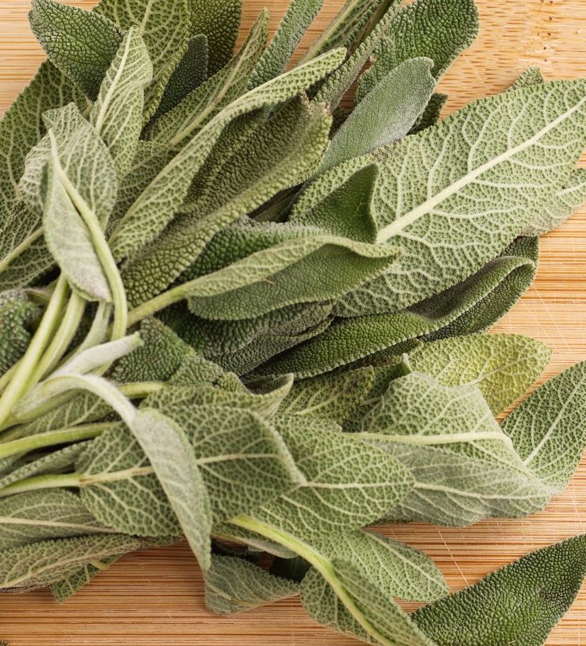 Burro e Salvia