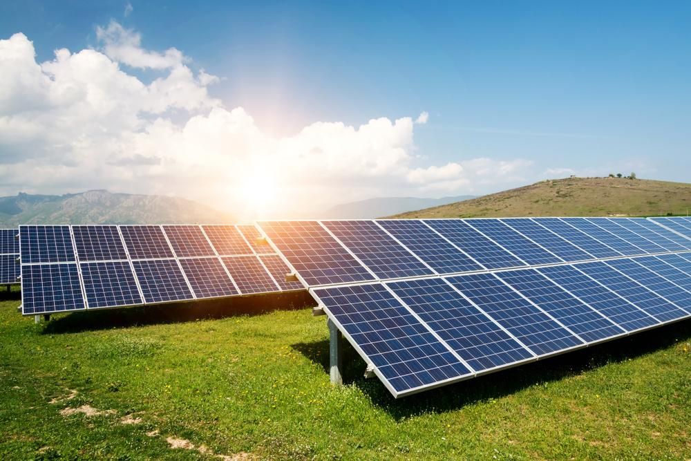 A Row of Solar Panels Sitting on Top of A Lush Green Field — Robbie McDonald Electrical in Golden Beach, QLD