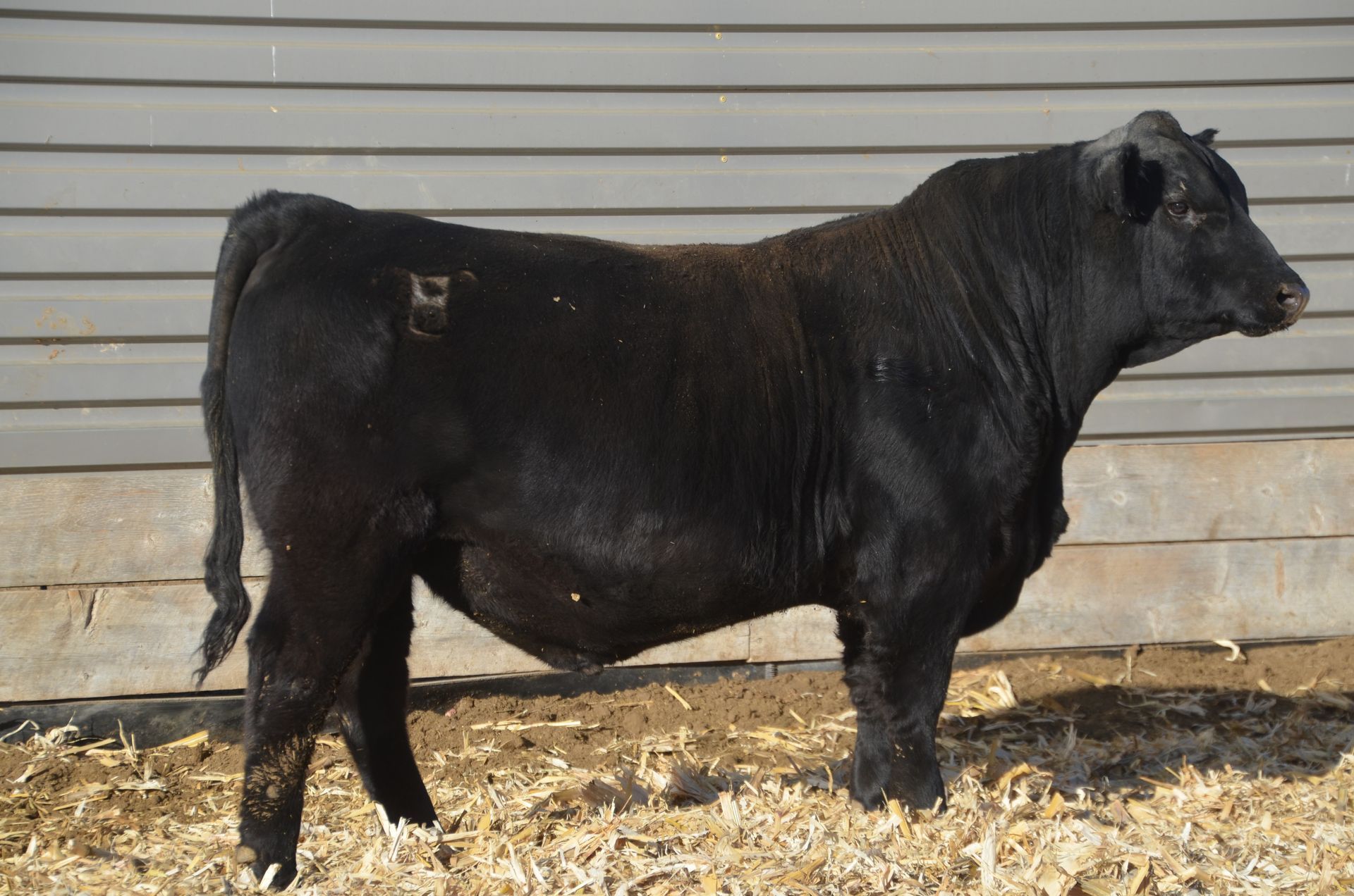 Lot 18