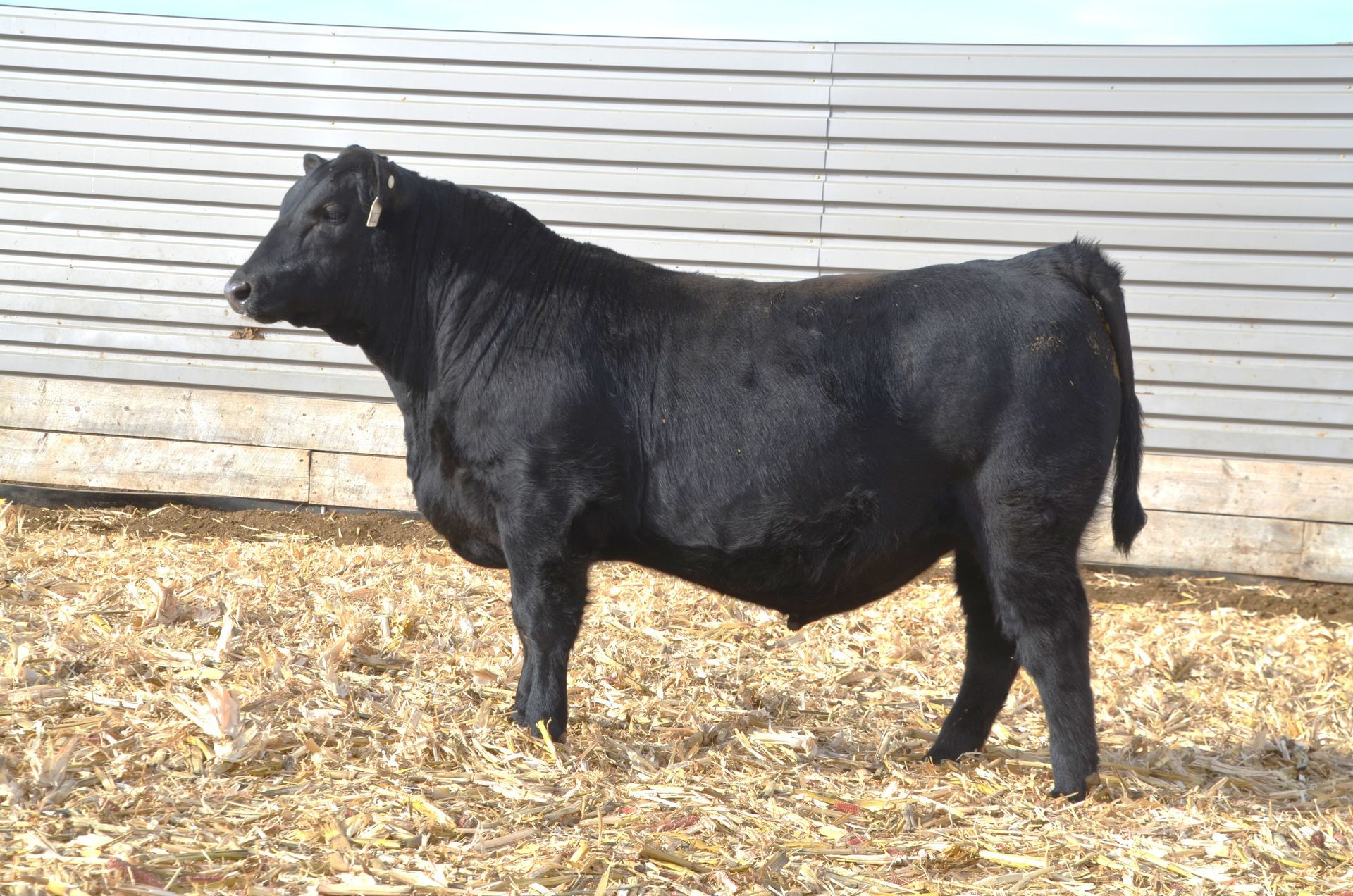 Lot 38