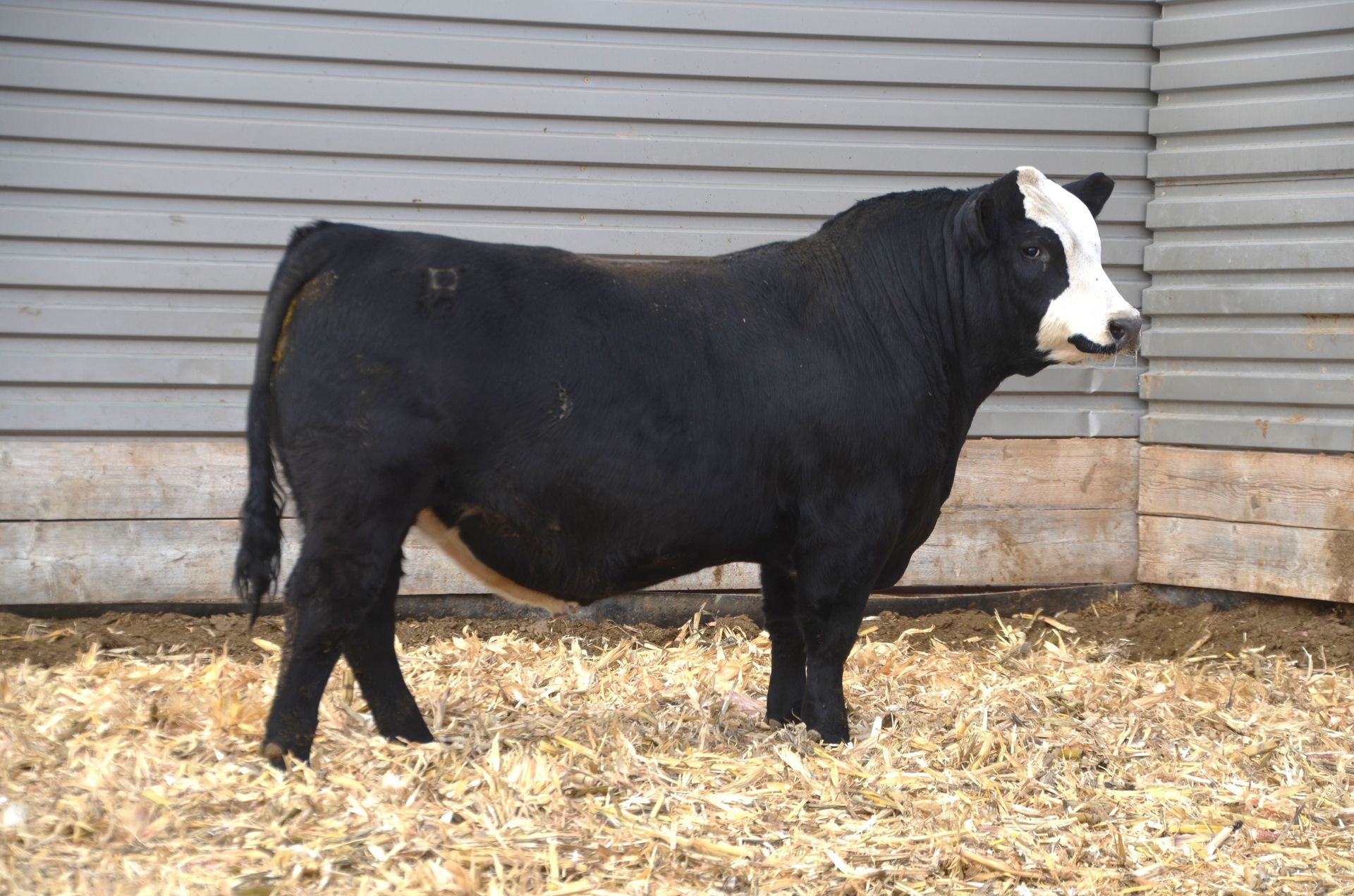 Lot 40