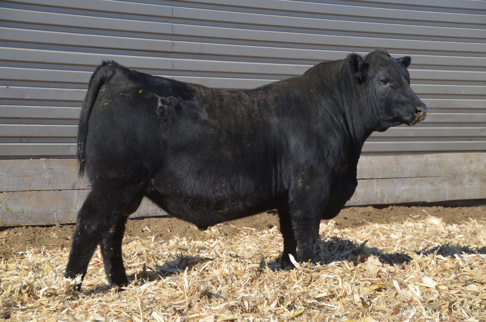 Lot 6