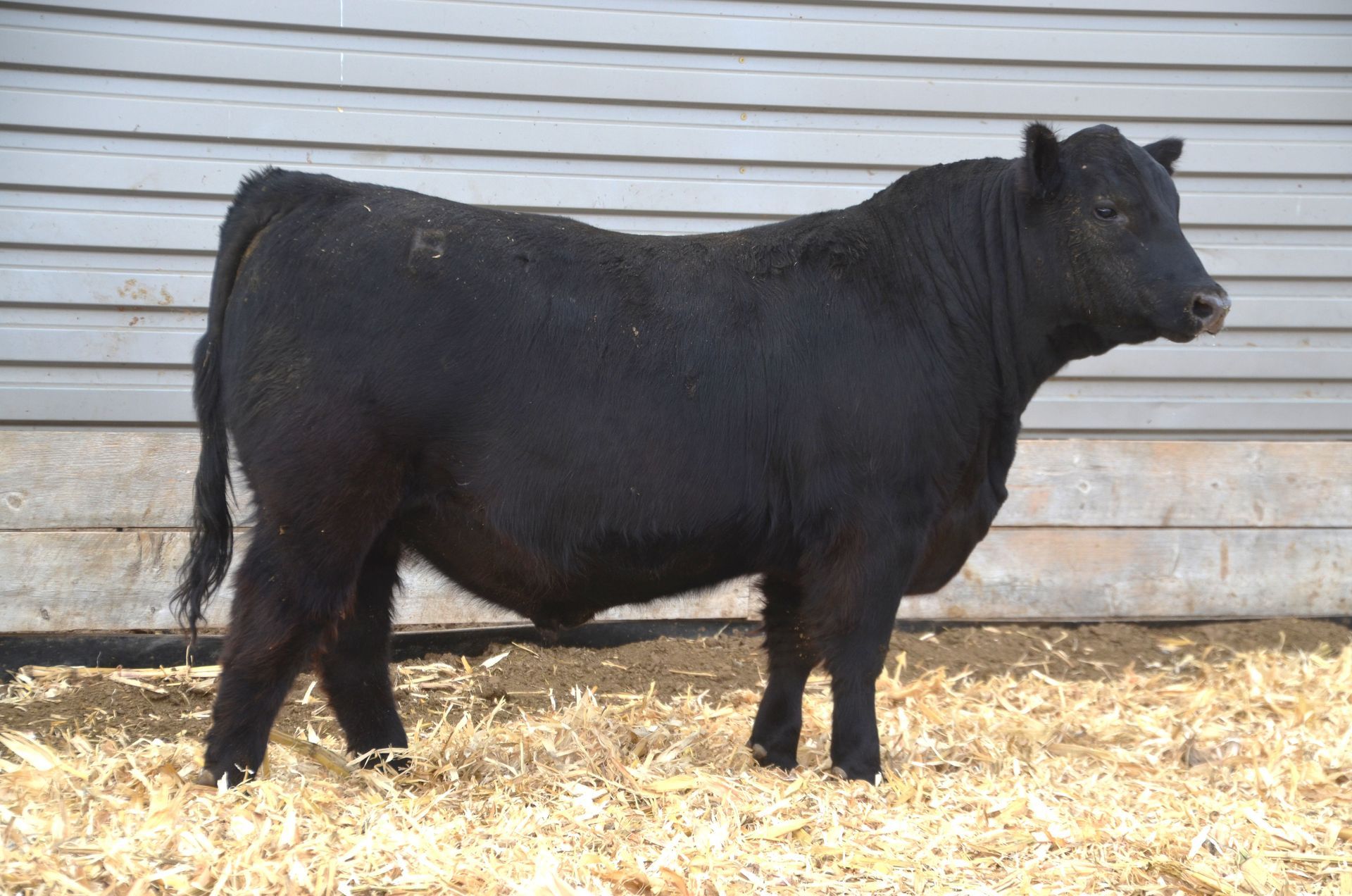 Lot 78