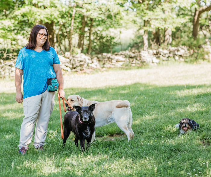 dog daycare sullivan county ny