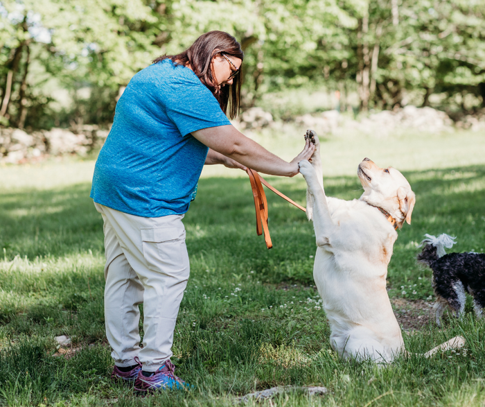 dog training cochecton ny