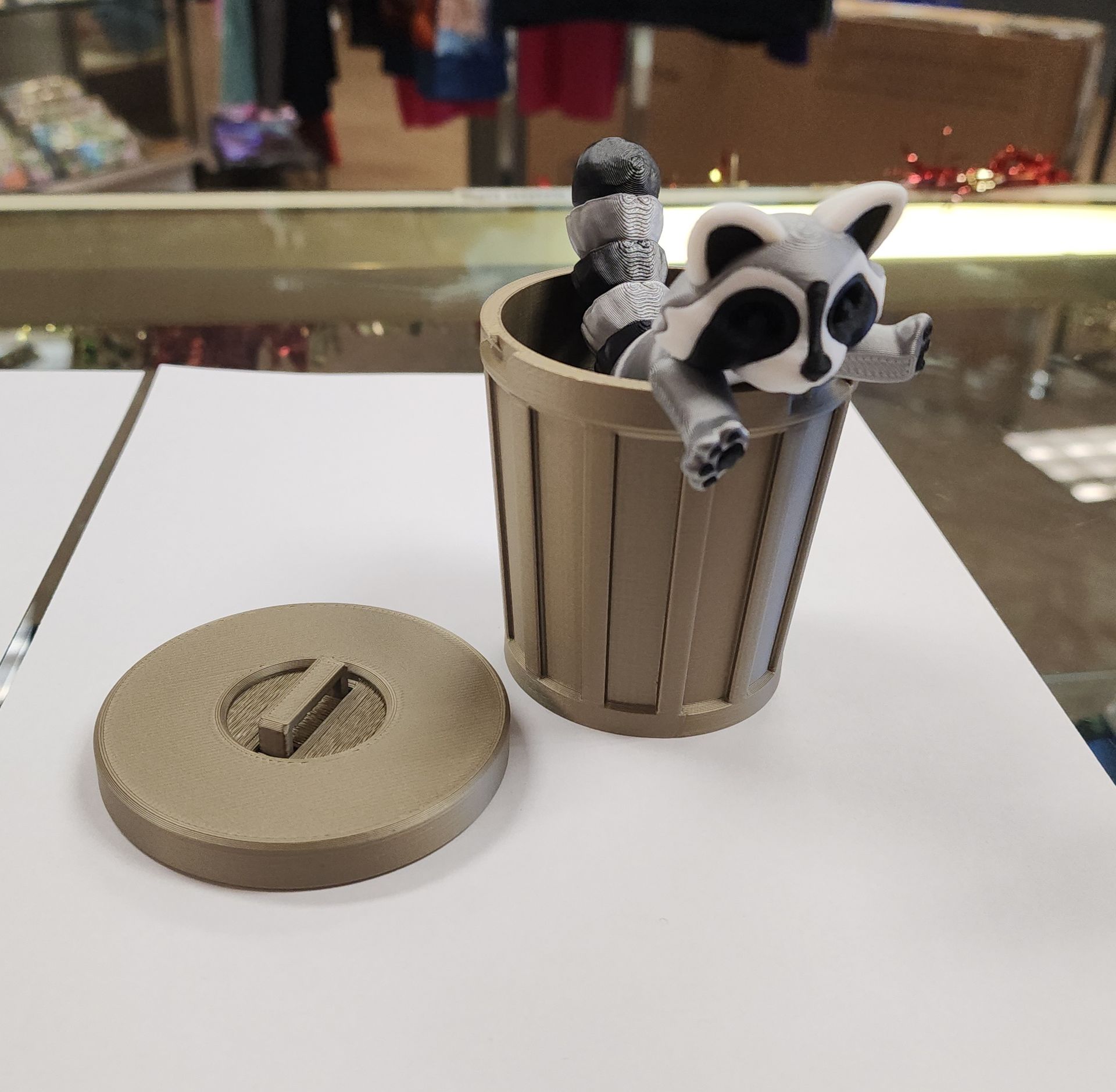 Raccoon Trash can