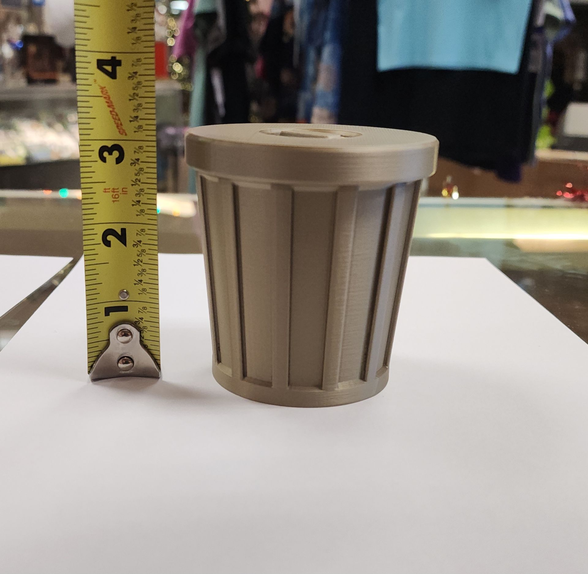 Raccoon Trash can