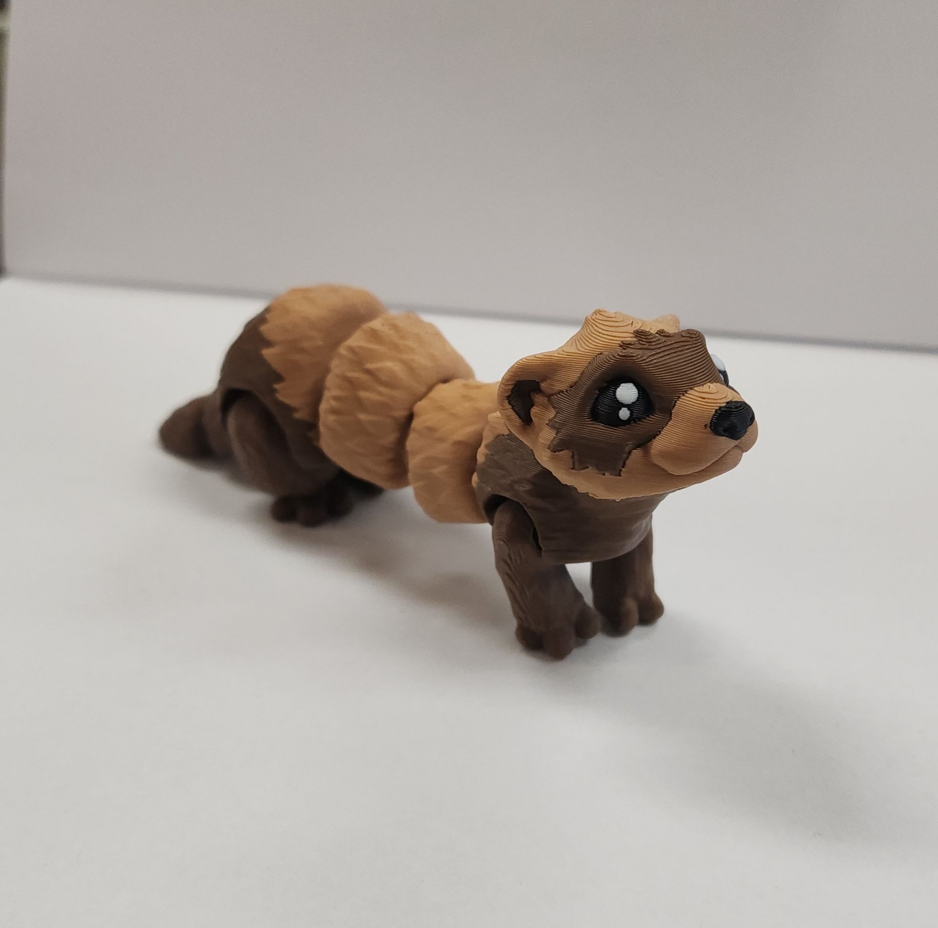 Ferret Flexi
