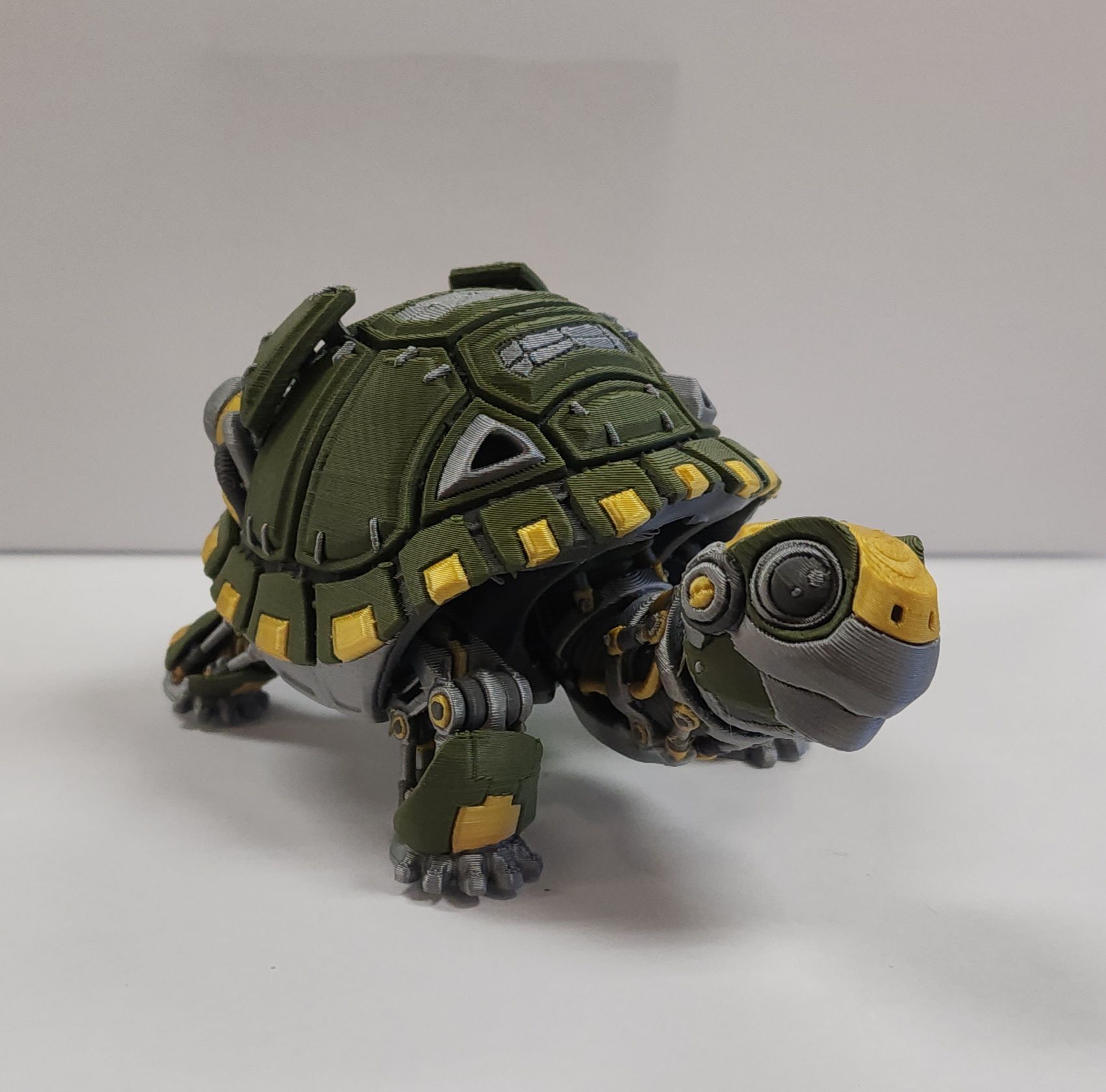 Cyber Turtle