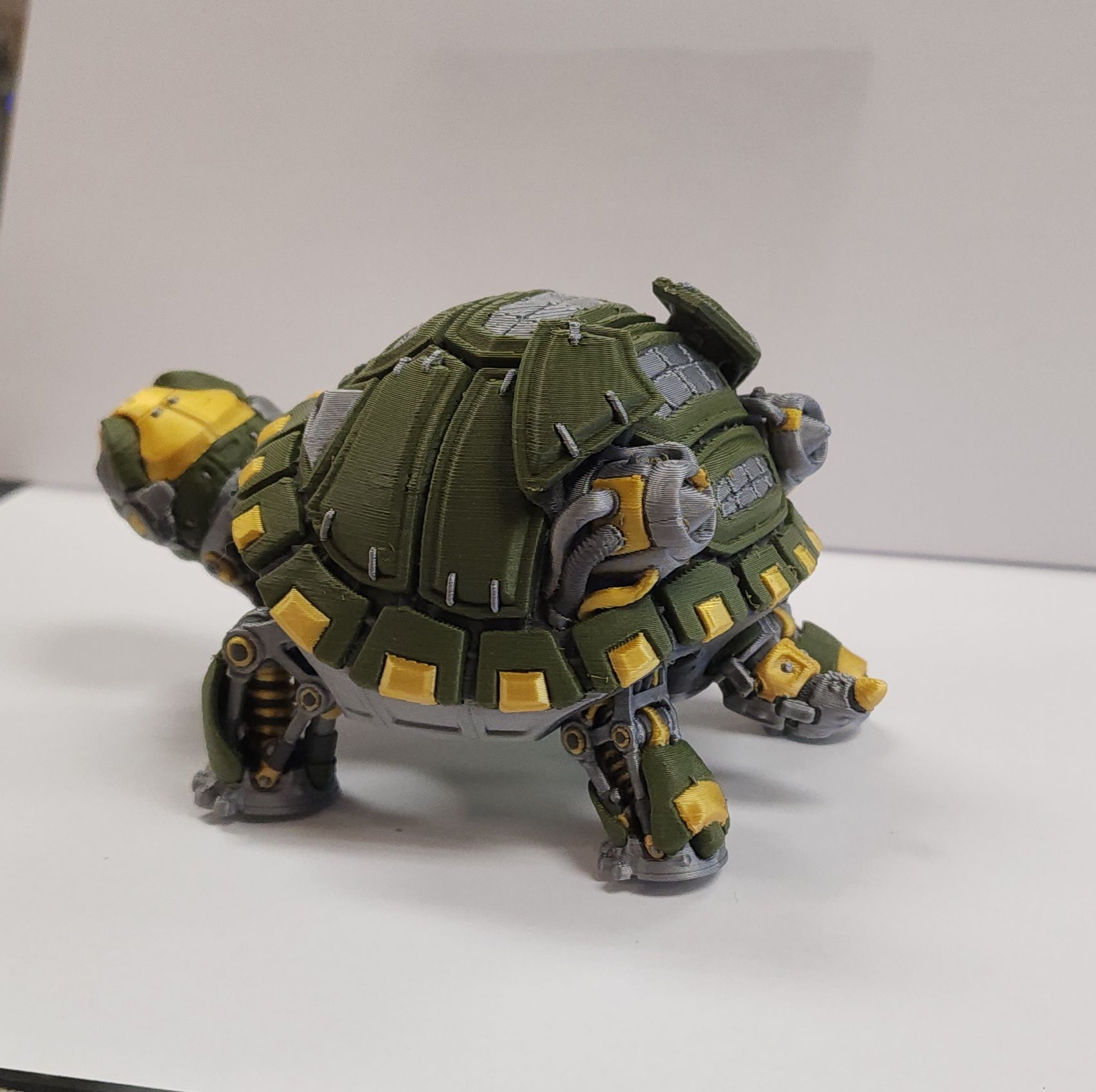 Cyber Turtle
