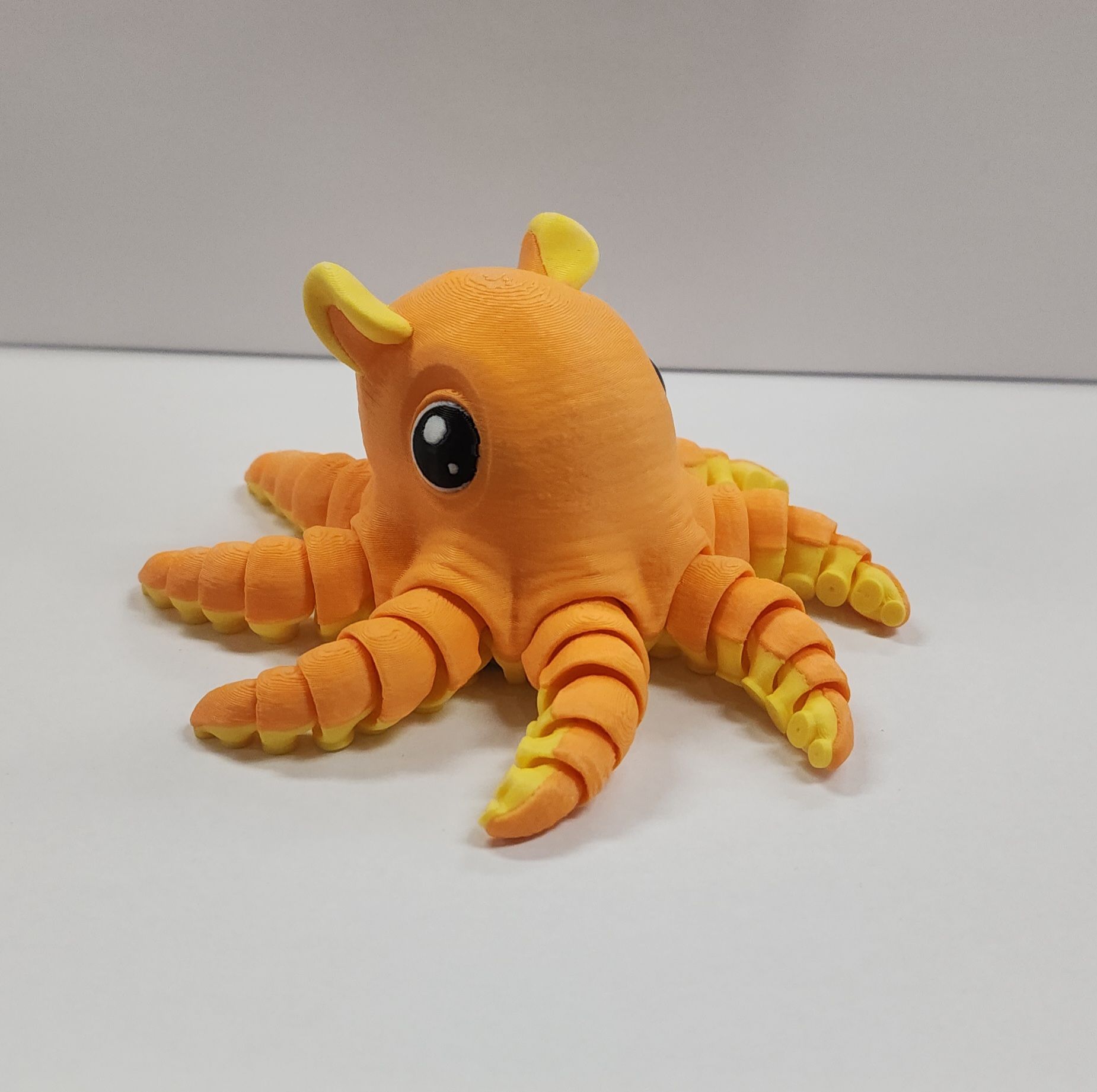 Flapjack Octopus