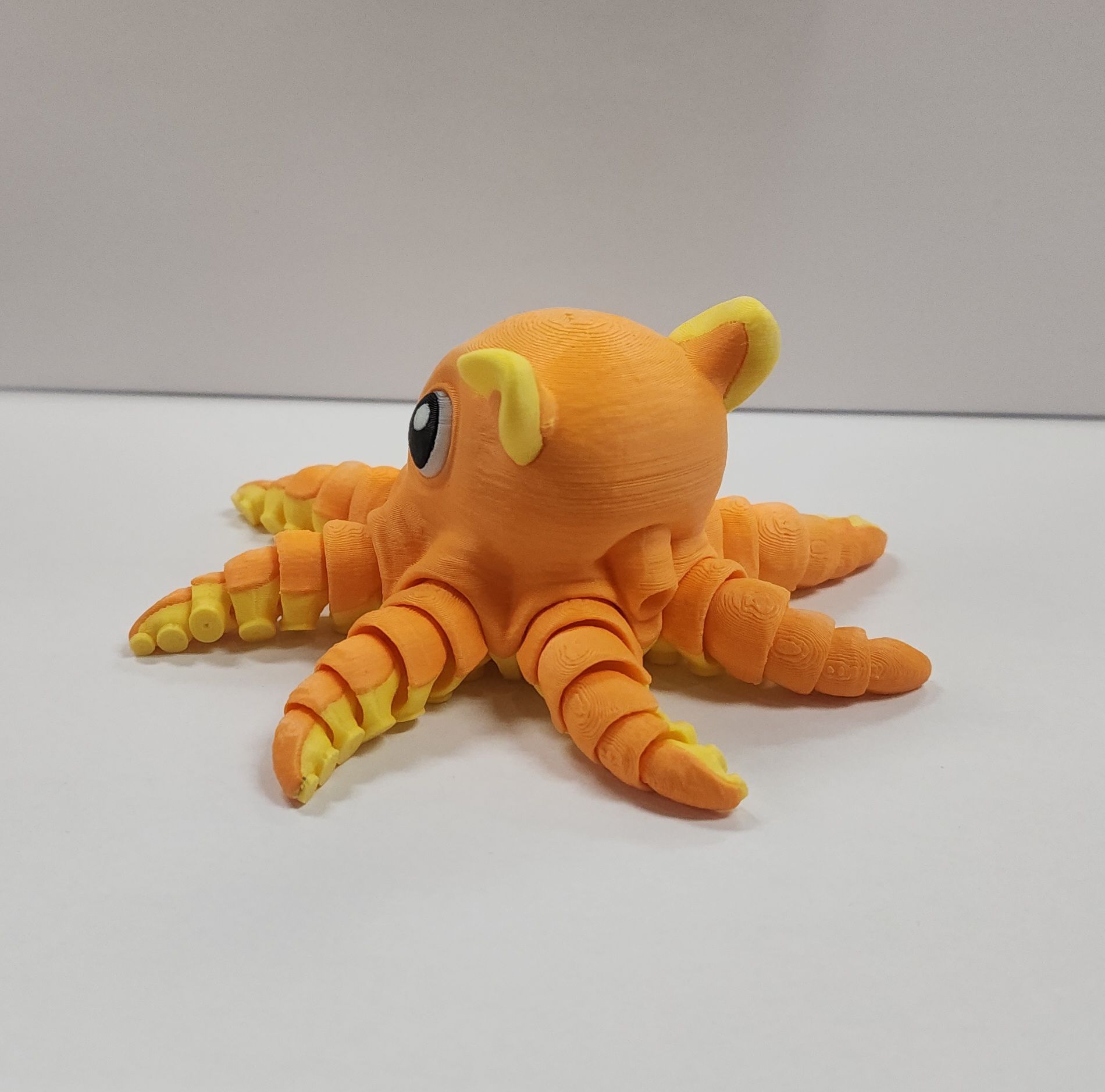 Flapjack Octopus