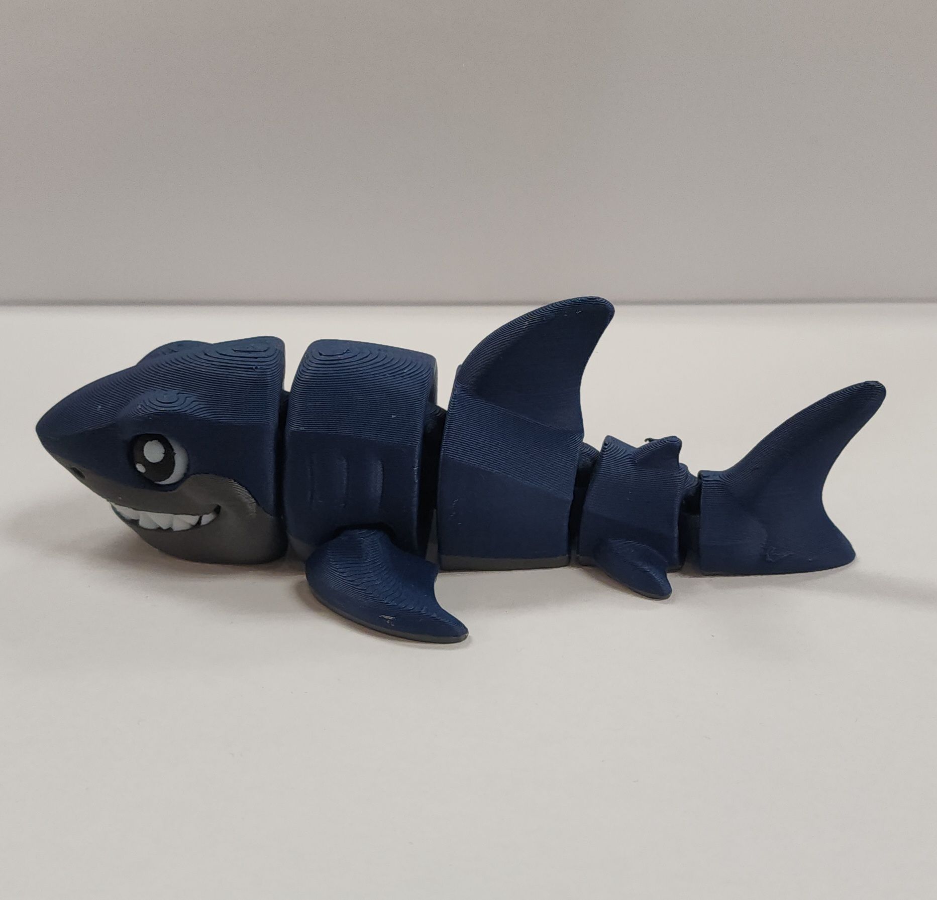 Shark & Hammer Head