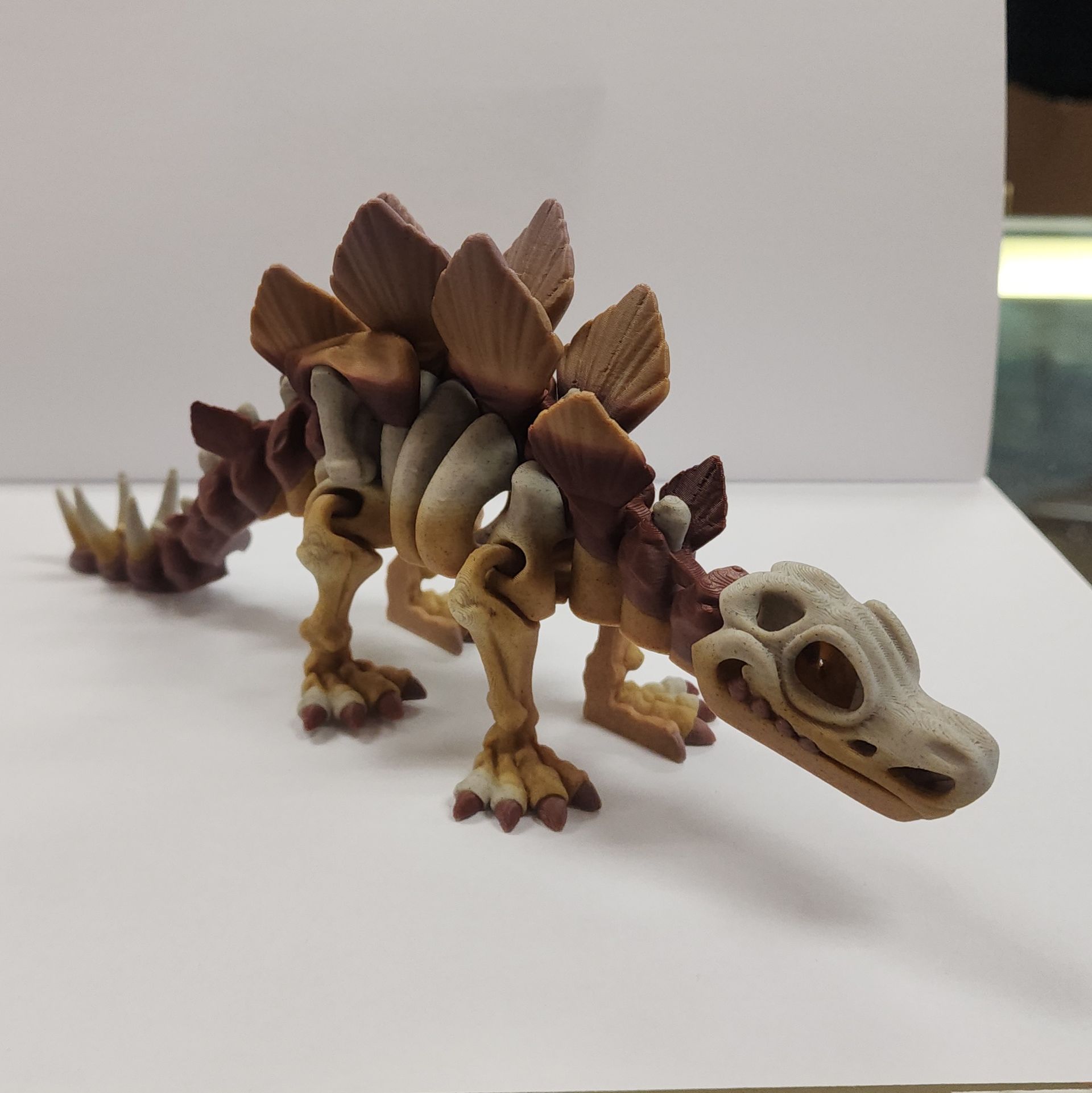 Skeleton Stegosaurus