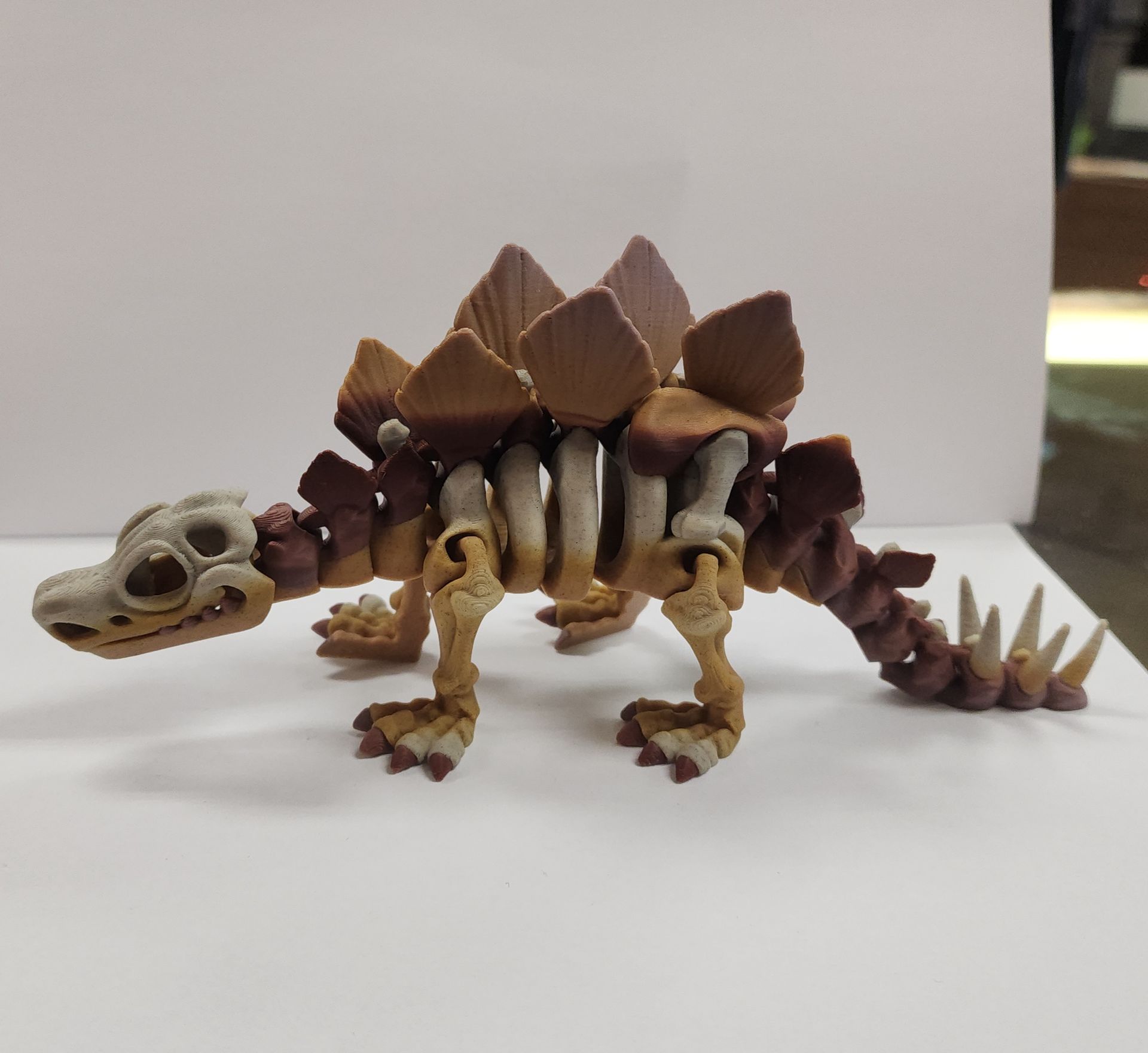 Skeleton Stegosaurus