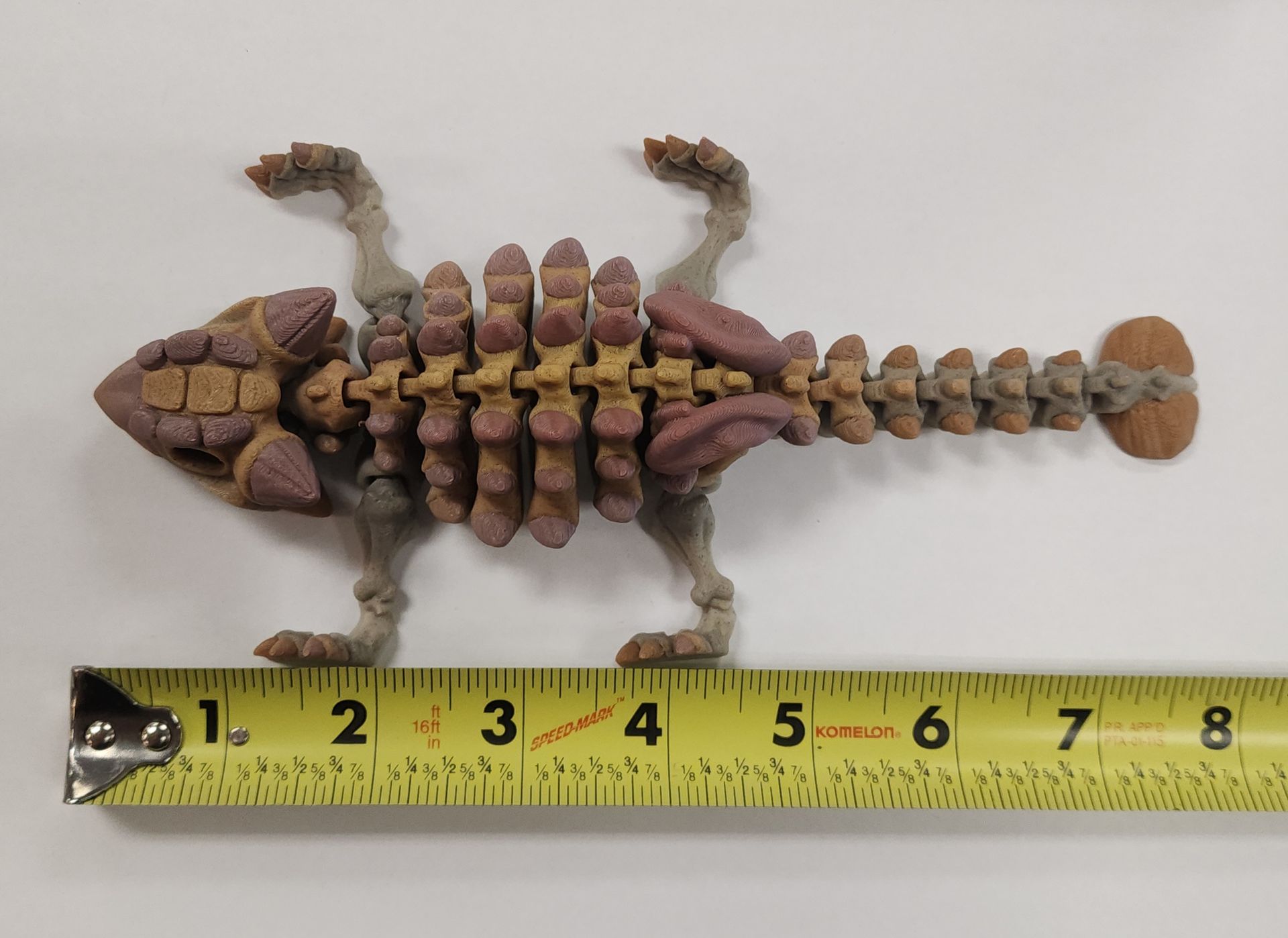 Skeleton Ankylosaurus