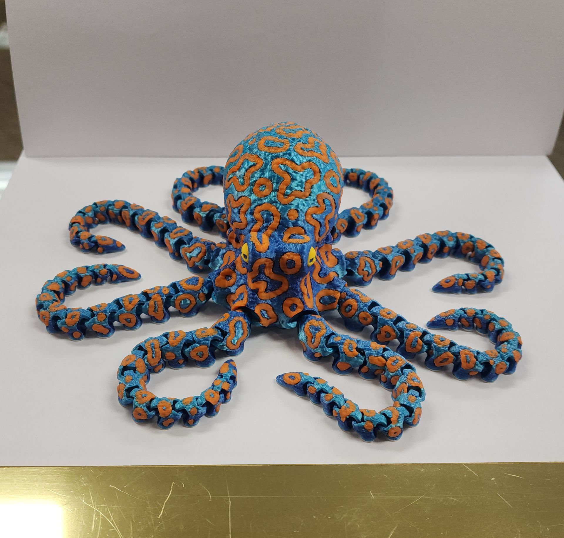 Octopus Flexi