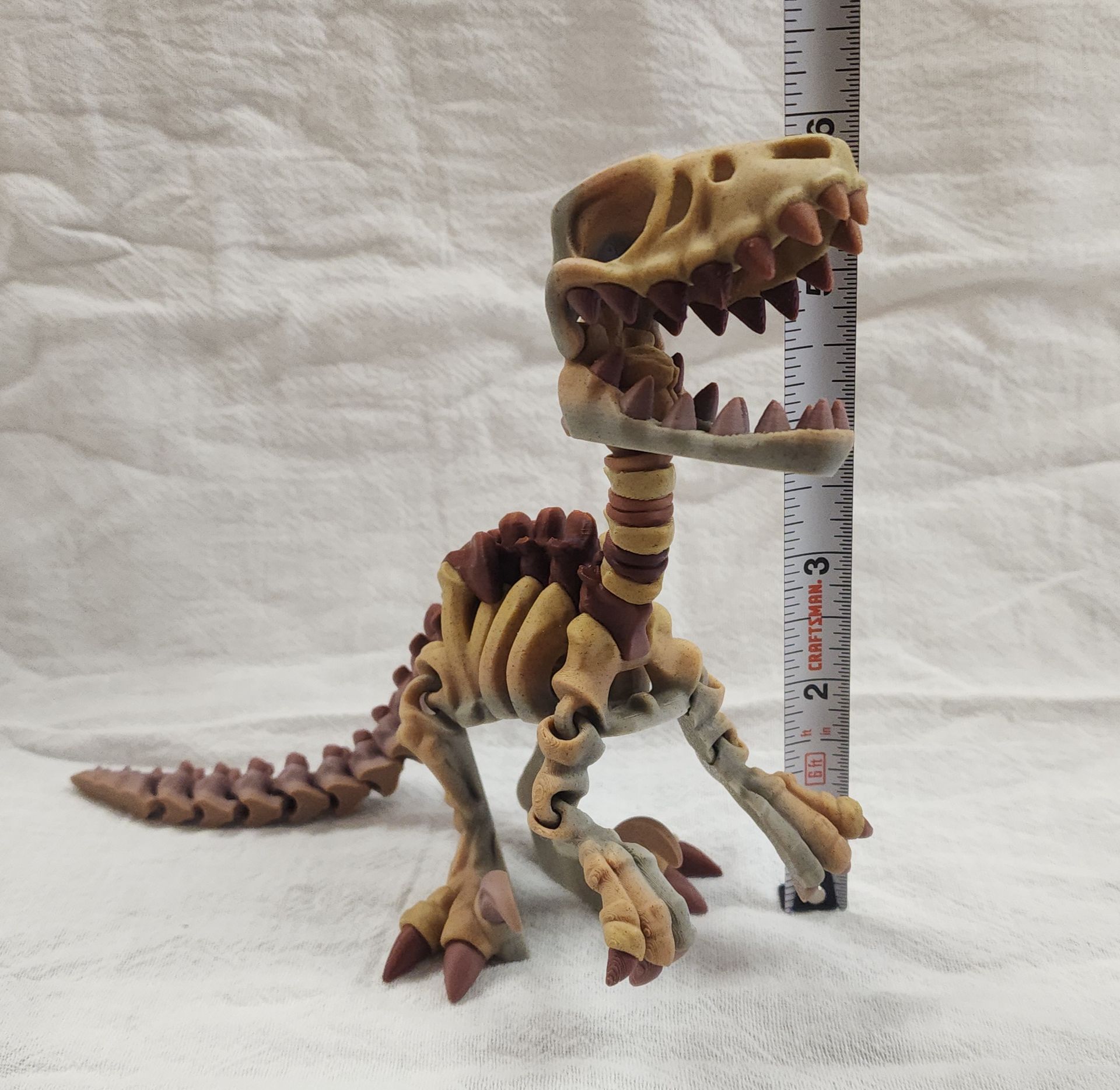 Velociraptor Skeleton Flexi