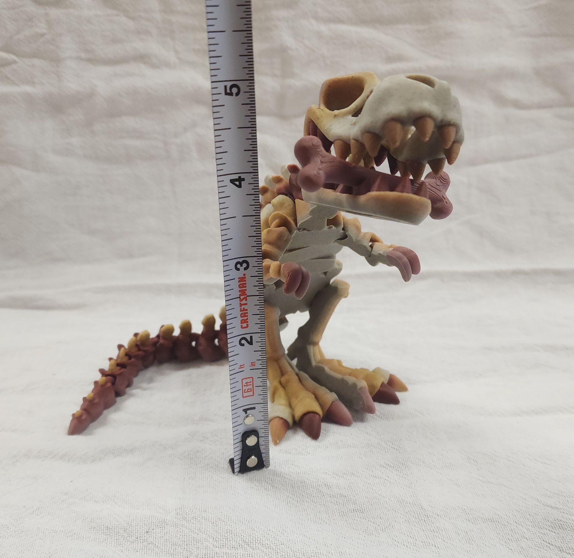 T-rex Skeleton Flexi
