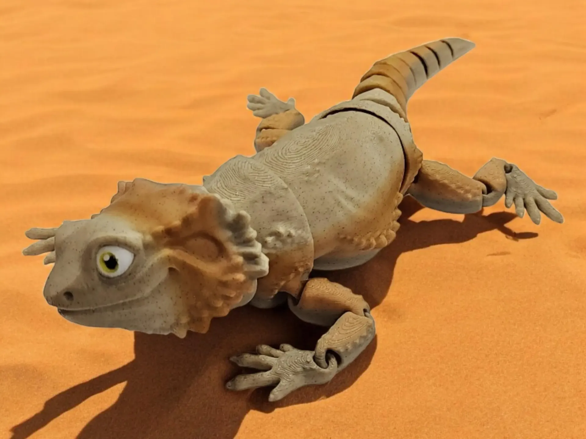 Bearded Dragon