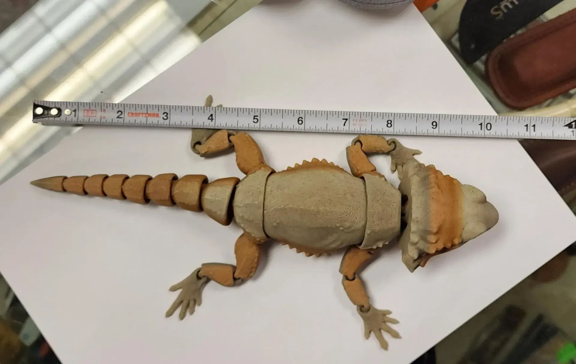 Bearded Dragon