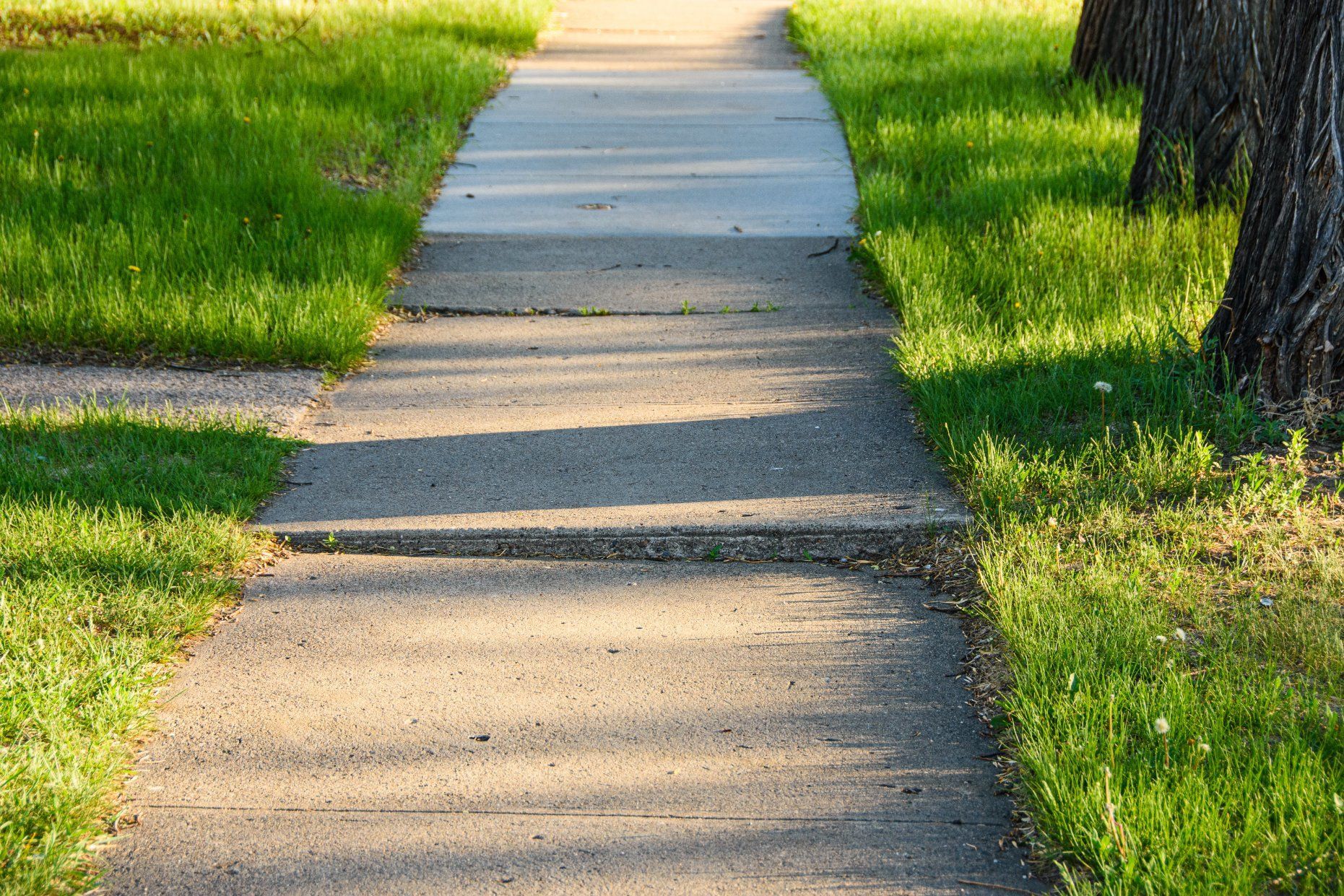 Concrete sidewalk through green grass beside trees in warm sunlight