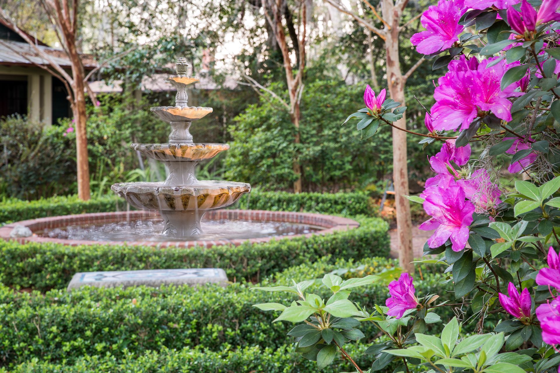 a fountain in a garden with purple flowers in the foreground .