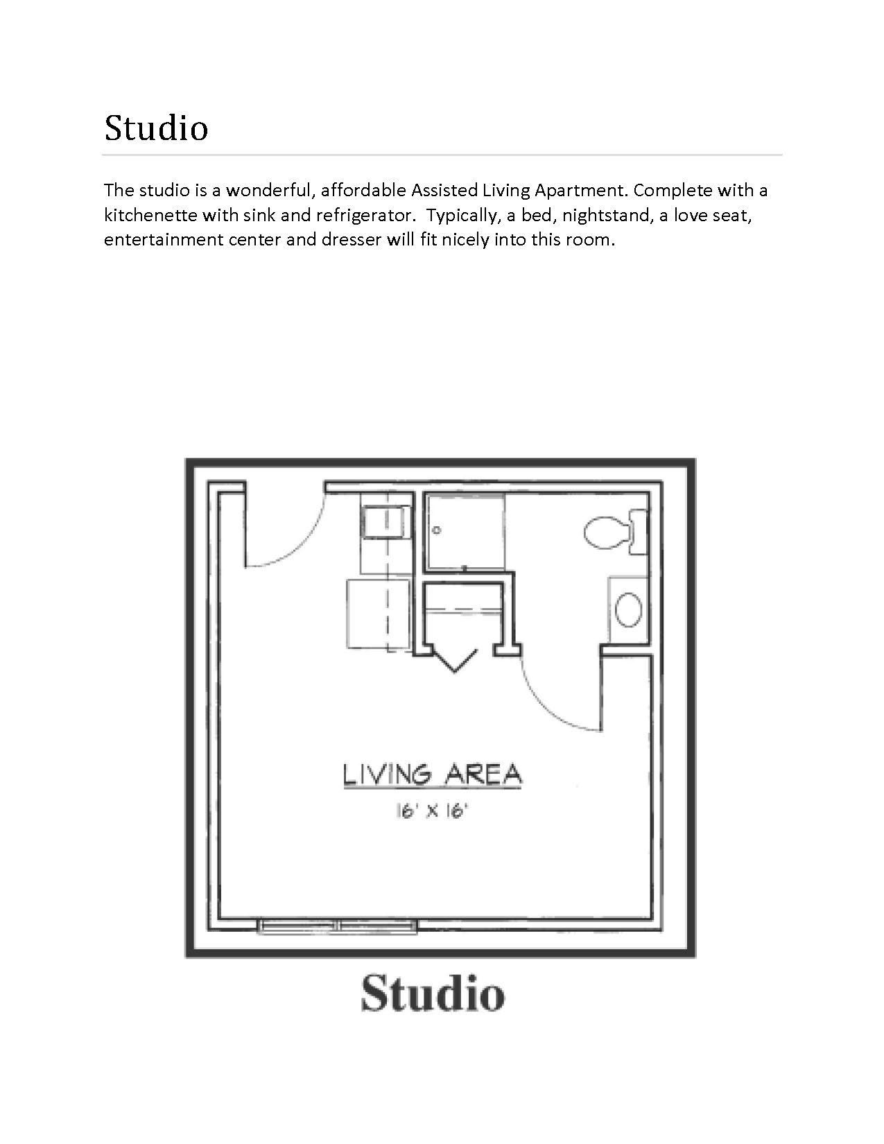 Studio apartment floor plan: living area, bathroom with toilet, sink, and shower/tub.