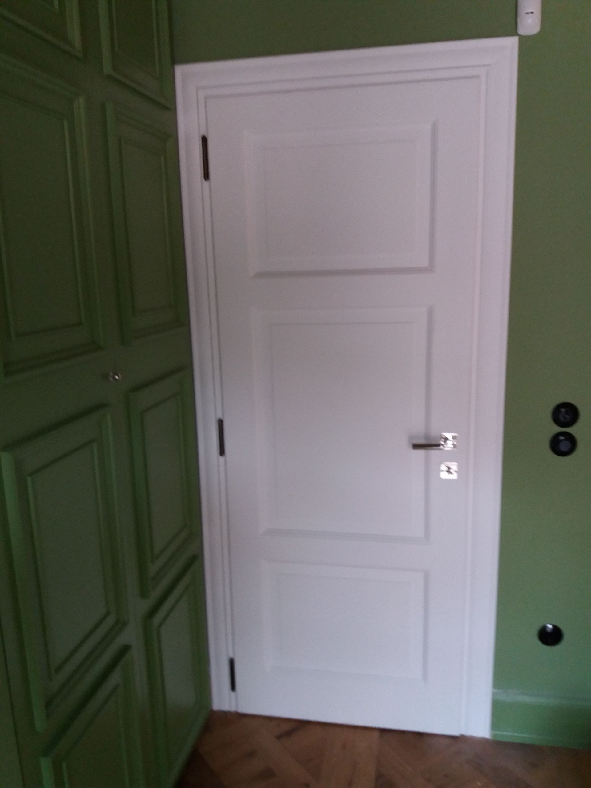 porta interna in legno su parete verde