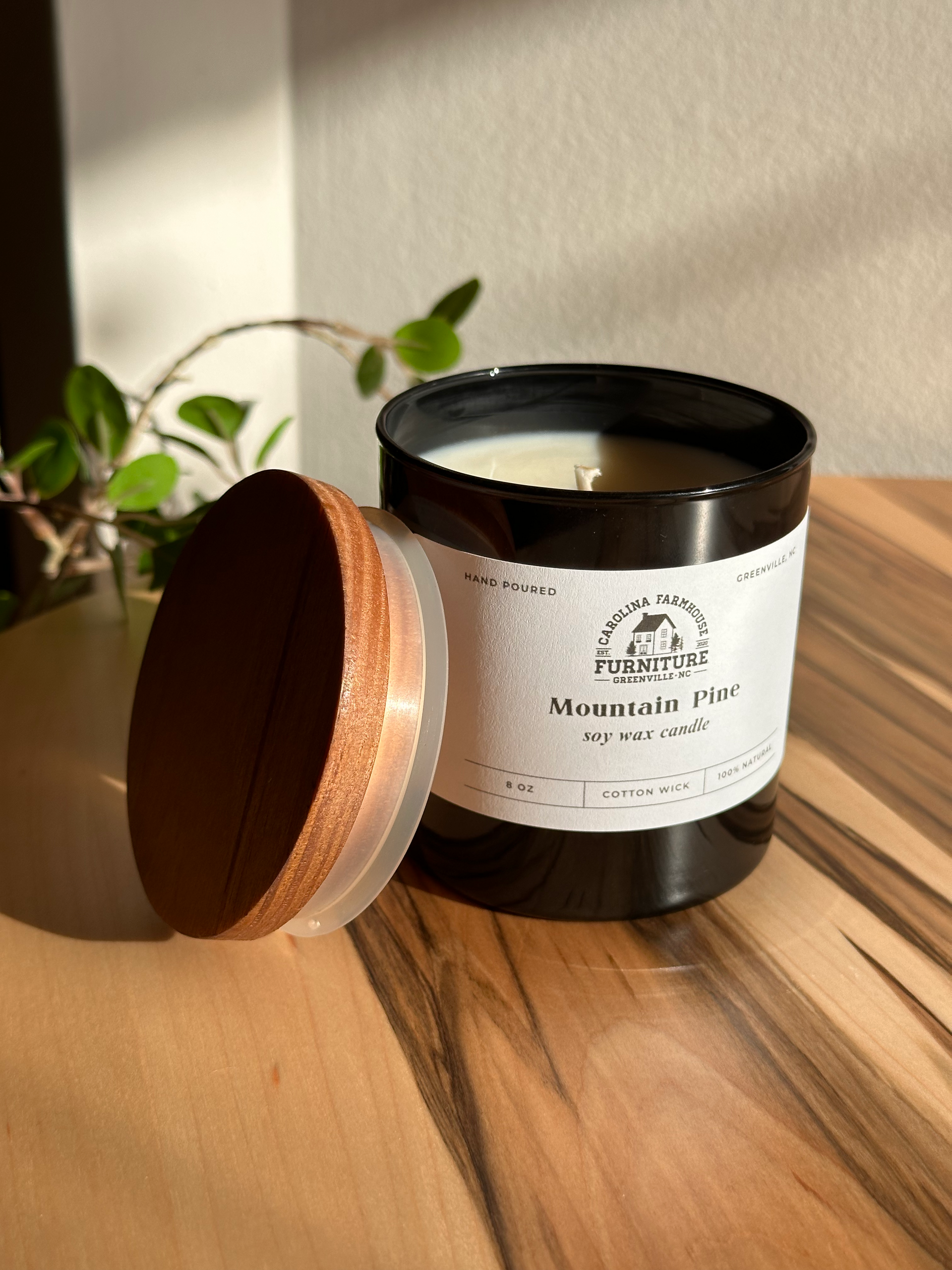 Mountain Pine Candle | Soy Candle