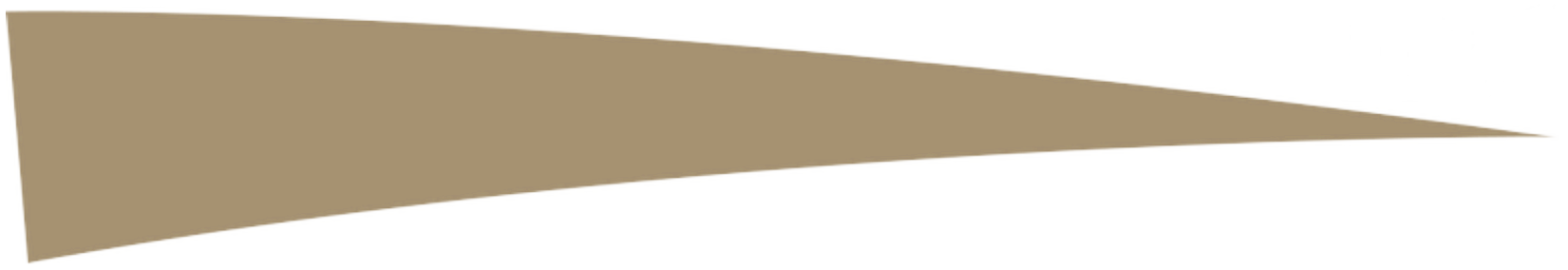 A light brown, elongated shape with a pointed end.