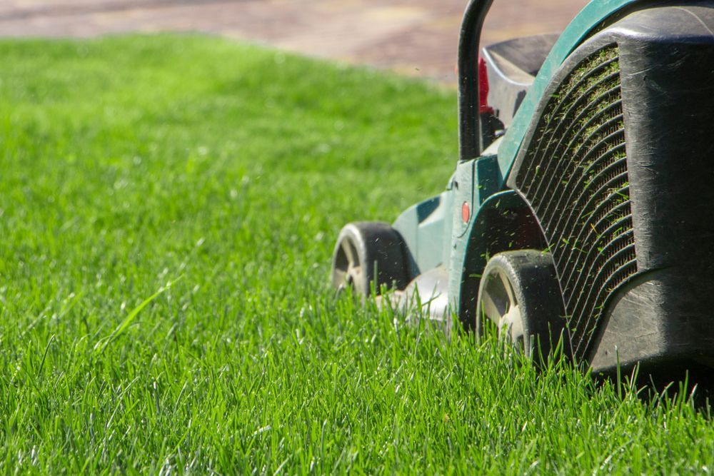 Lawn Mower Cutting Green Grass in a Sunny Yard — Mow & Mulch Lawn & Garden Maintenance In Gordonvale, QLD