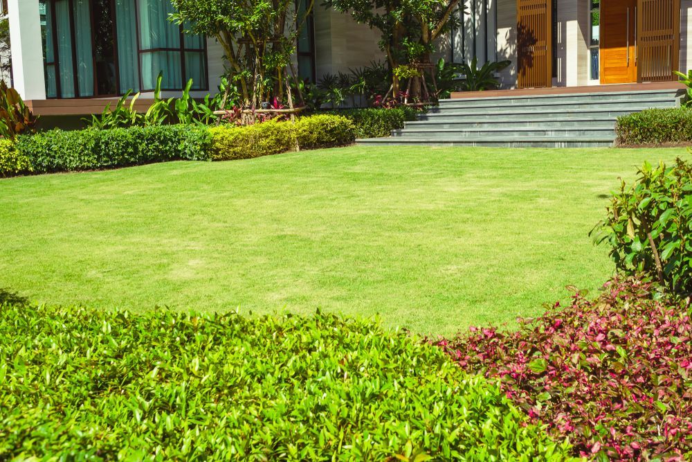 Lush Green Lawn With Manicured Bushes — Mow & Mulch Lawn & Garden Maintenance in Edmonton, QLD