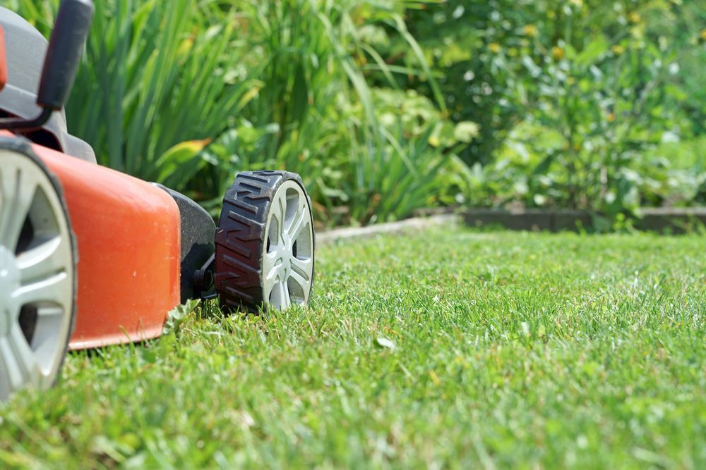 Orange Lawnmower on Green Grass, Next to a Flower Bed — Mow & Mulch Lawn & Garden Maintenance in Edge Hill, QLD