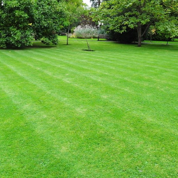 A Freshly Mowed Lawn — Mow & Mulch Lawn & Garden Maintenance In White Rock, QLD